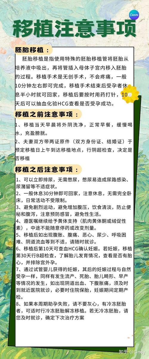 胚胎移植前后关键期解析：试管助孕期间可以同房吗